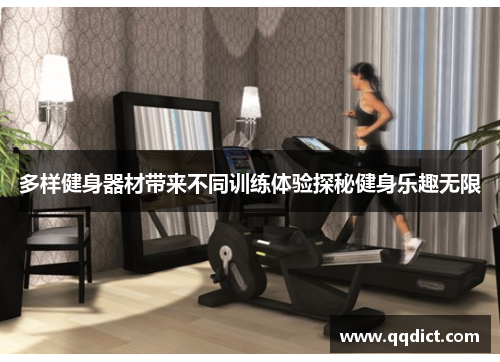 多样健身器材带来不同训练体验探秘健身乐趣无限