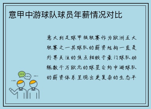 意甲中游球队球员年薪情况对比